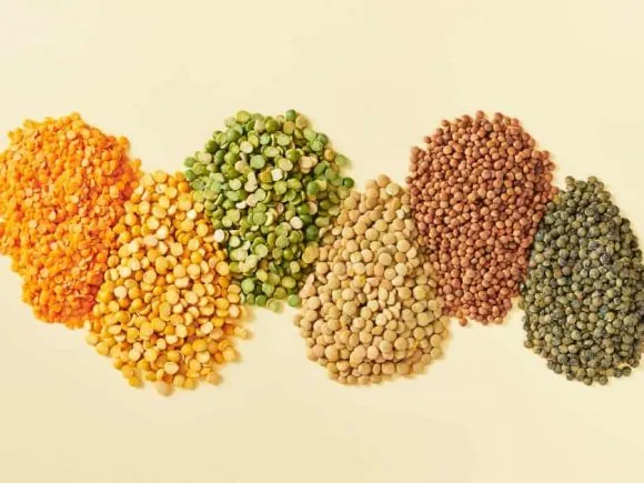 Pulses & Legumes