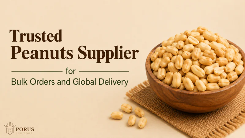 Trusted Peanuts Supplier for Bulk Orders and Global Delivery