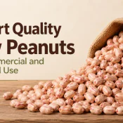 Export Quality Raw Peanuts for Commercial and Industrial Use