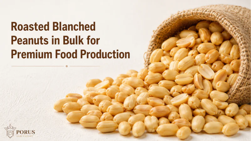 Roasted Blanched Peanuts in Bulk for Premium Food Production
