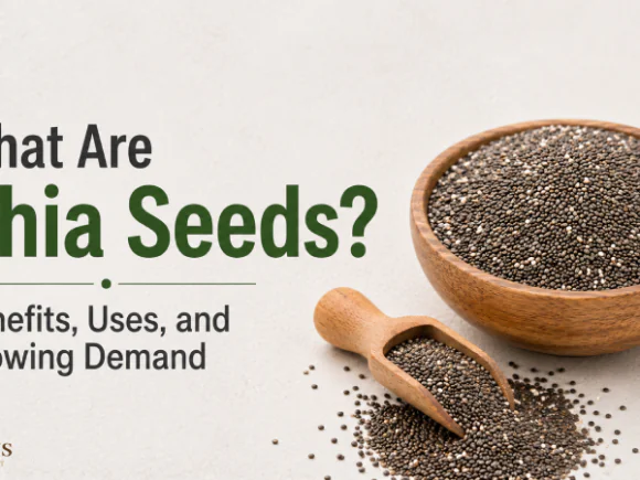 What Are Chia Seeds? Benefits, Uses, and Growing Demand