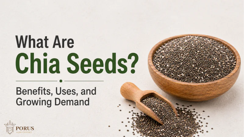 What Are Chia Seeds? Benefits, Uses, and Growing Demand