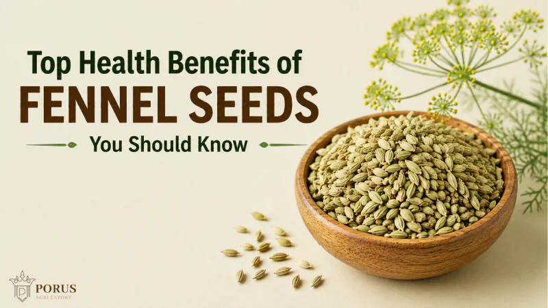 Top Health Benefits of Fennel Seeds You Should Know