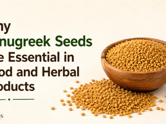 Why Fenugreek Seeds Are Essential in Food and Herbal Products
