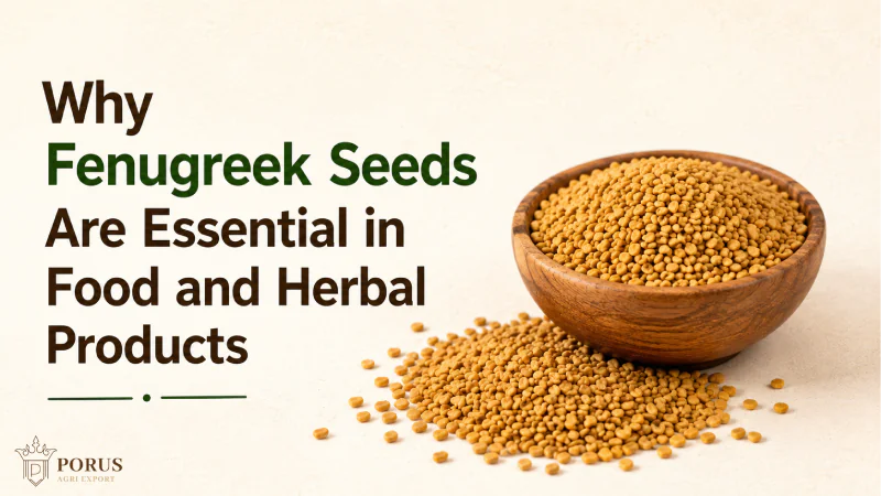 Why Fenugreek Seeds Are Essential in Food and Herbal Products
