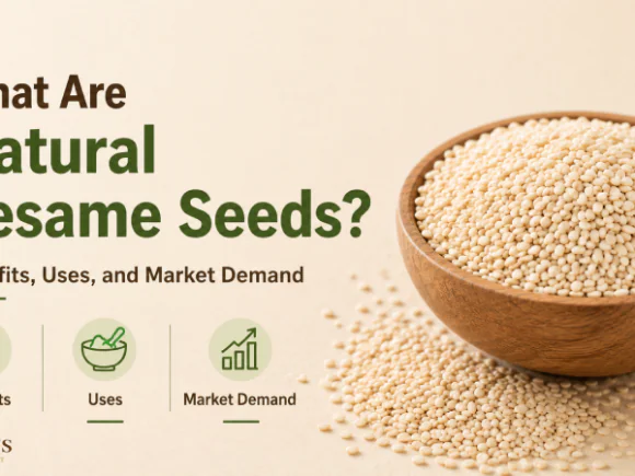 What Are Natural Sesame Seeds? Benefits, Uses, and Market Demand