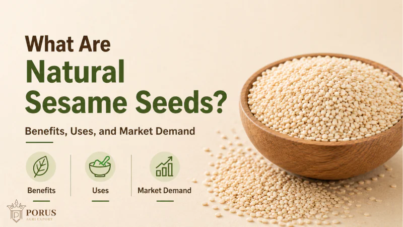 What Are Natural Sesame Seeds? Benefits, Uses, and Market Demand