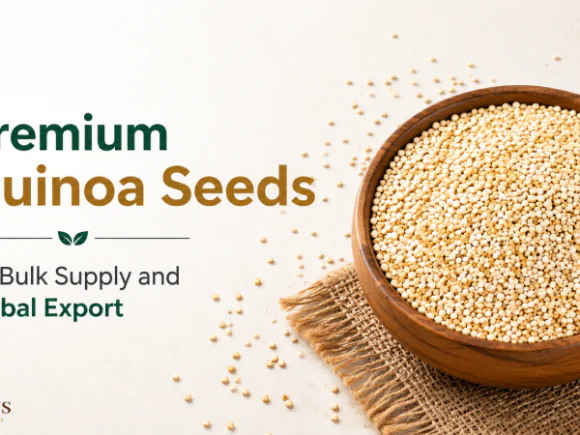 Premium Quinoa Seeds for Bulk Supply and Global Export