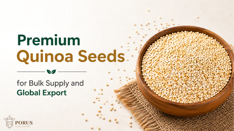 Premium Quinoa Seeds for Bulk Supply and Global Export