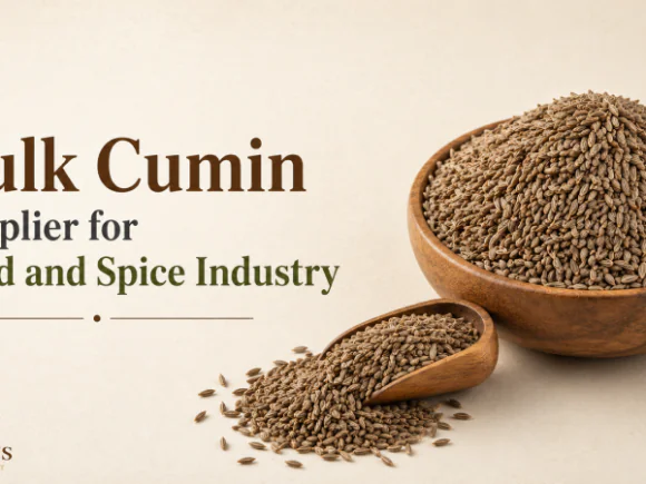 Bulk Cumin Supplier for Food and Spice Industry