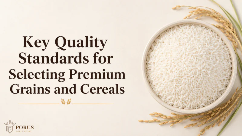 Key Quality Standards for Selecting Premium Grains and Cereals