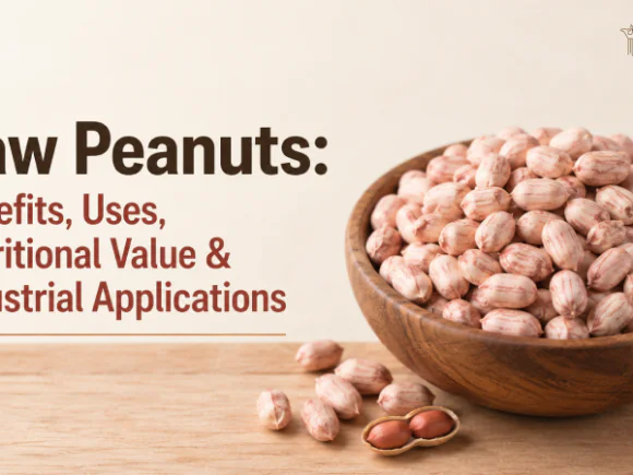 Raw Peanuts: Benefits, Uses, Nutritional Value & Industrial Applications