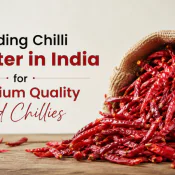 Leading Chilli Exporter in India for Premium Quality Red Chillies
