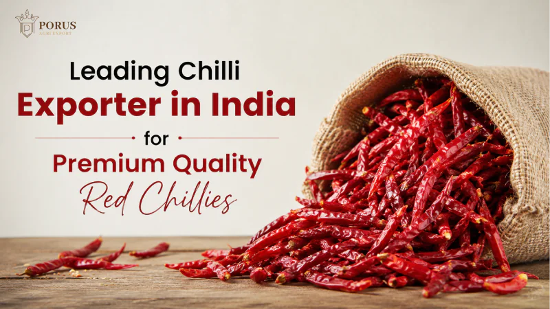 Leading Chilli Exporter in India for Premium Quality Red Chillies