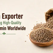 Cumin Exporter Delivering High-Quality Indian Cumin Worldwide