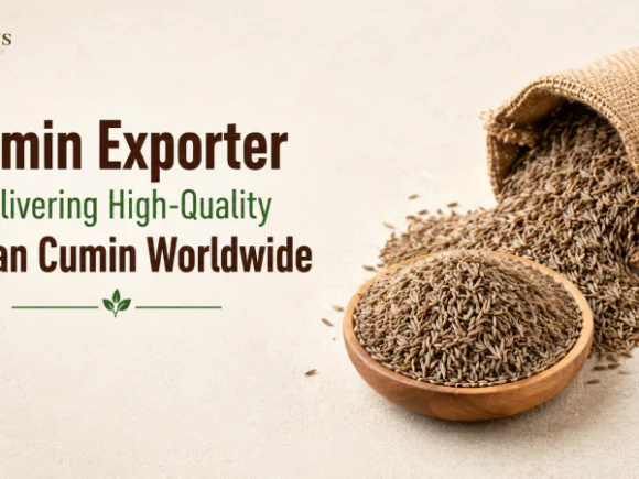 Cumin Exporter Delivering High-Quality Indian Cumin Worldwide