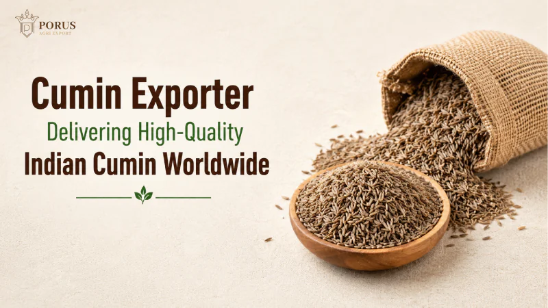 Cumin Exporter Delivering High-Quality Indian Cumin Worldwide