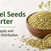 Fennel Seeds Exporter for Bulk Supply and Worldwide Distribution