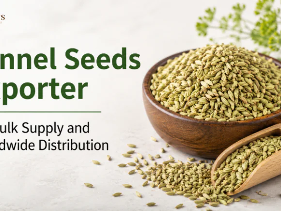 Fennel Seeds Exporter for Bulk Supply and Worldwide Distribution