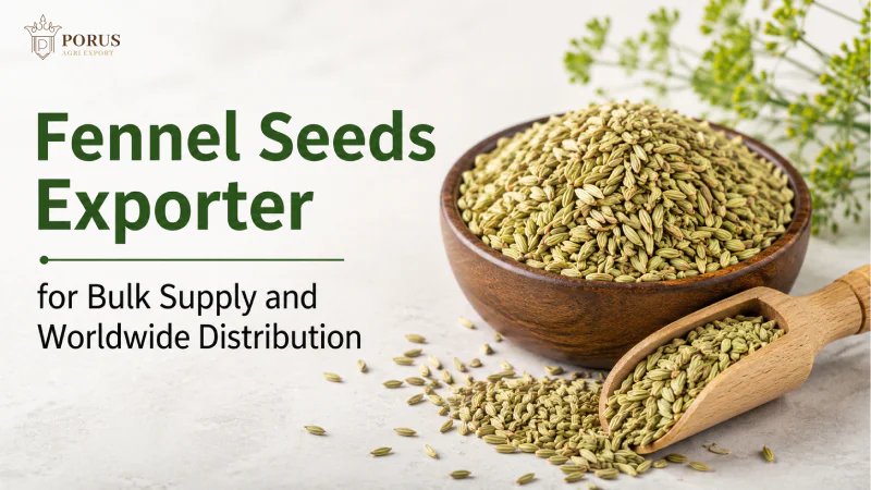 Fennel Seeds Exporter for Bulk Supply and Worldwide Distribution