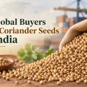 Why Global Buyers Source Coriander Seeds from India