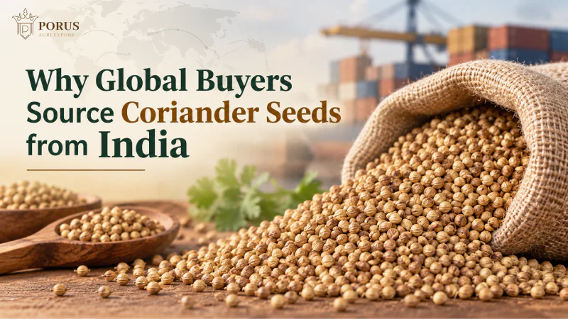 Why Global Buyers Source Coriander Seeds from India
