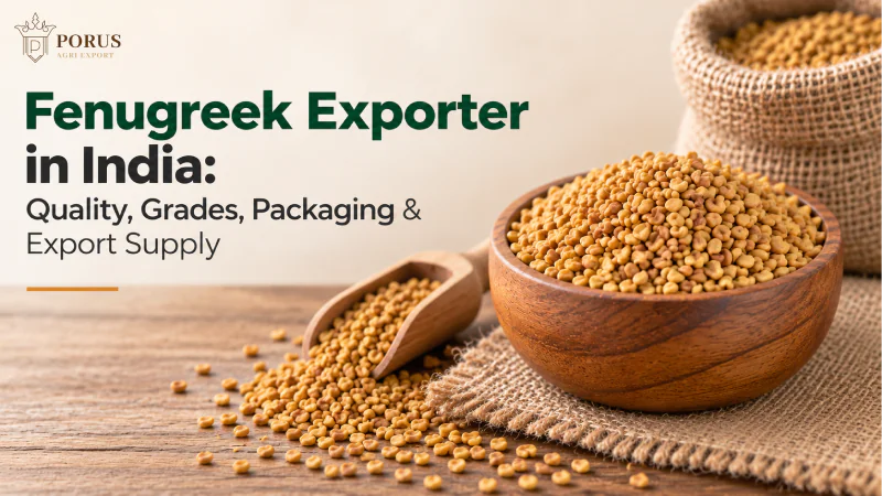 Fenugreek Exporter in India: Quality, Grades, Packaging & Export Supply