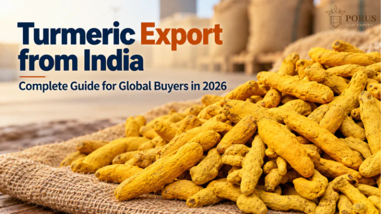Turmeric Export from India: Complete Guide for Global Buyers in 2026